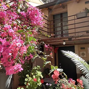 Pensión Mizzicahome Solemare, CTA